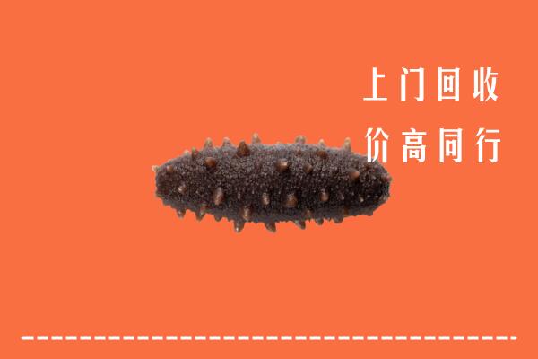 威宁县回收海参